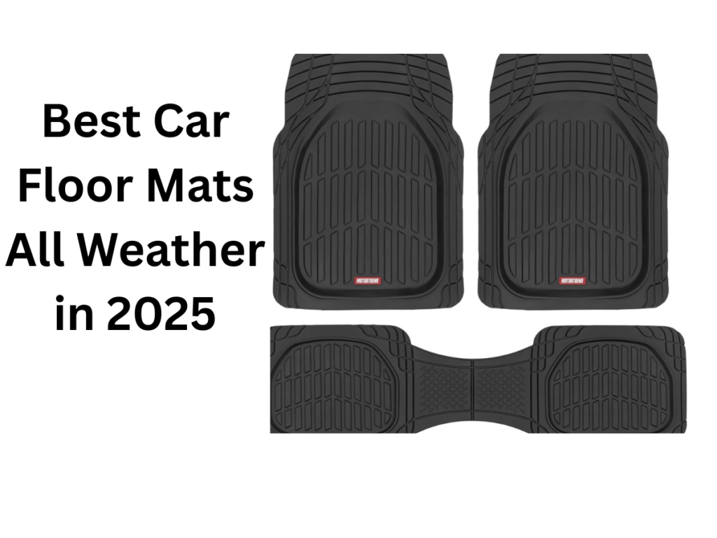 Best Car Floor Mats All Weather in 2025
